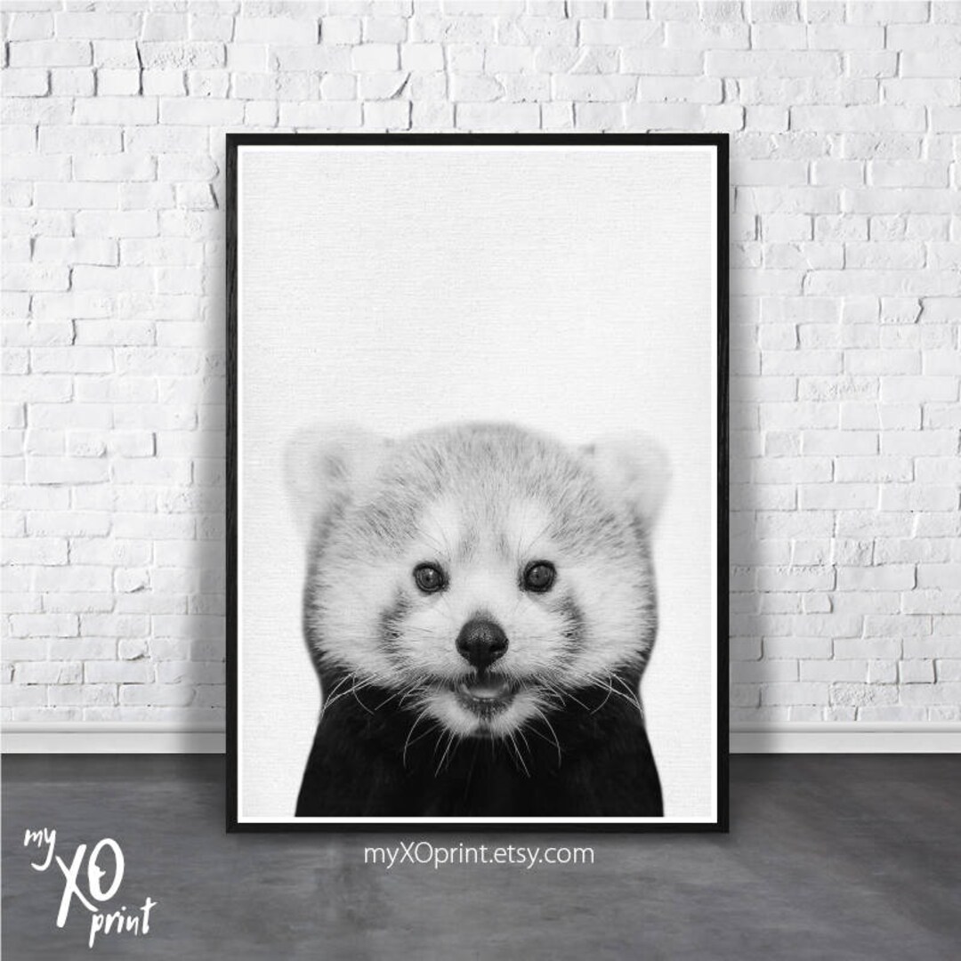 Black and White Nursery, Nursery Wall Decor, Baby Animal Print