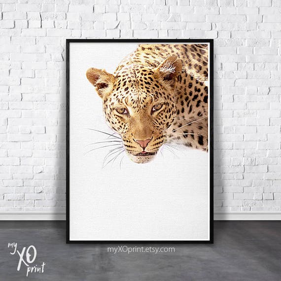 Leopard Print Nursery Wall Decor Safari Animal Print Baby Etsy