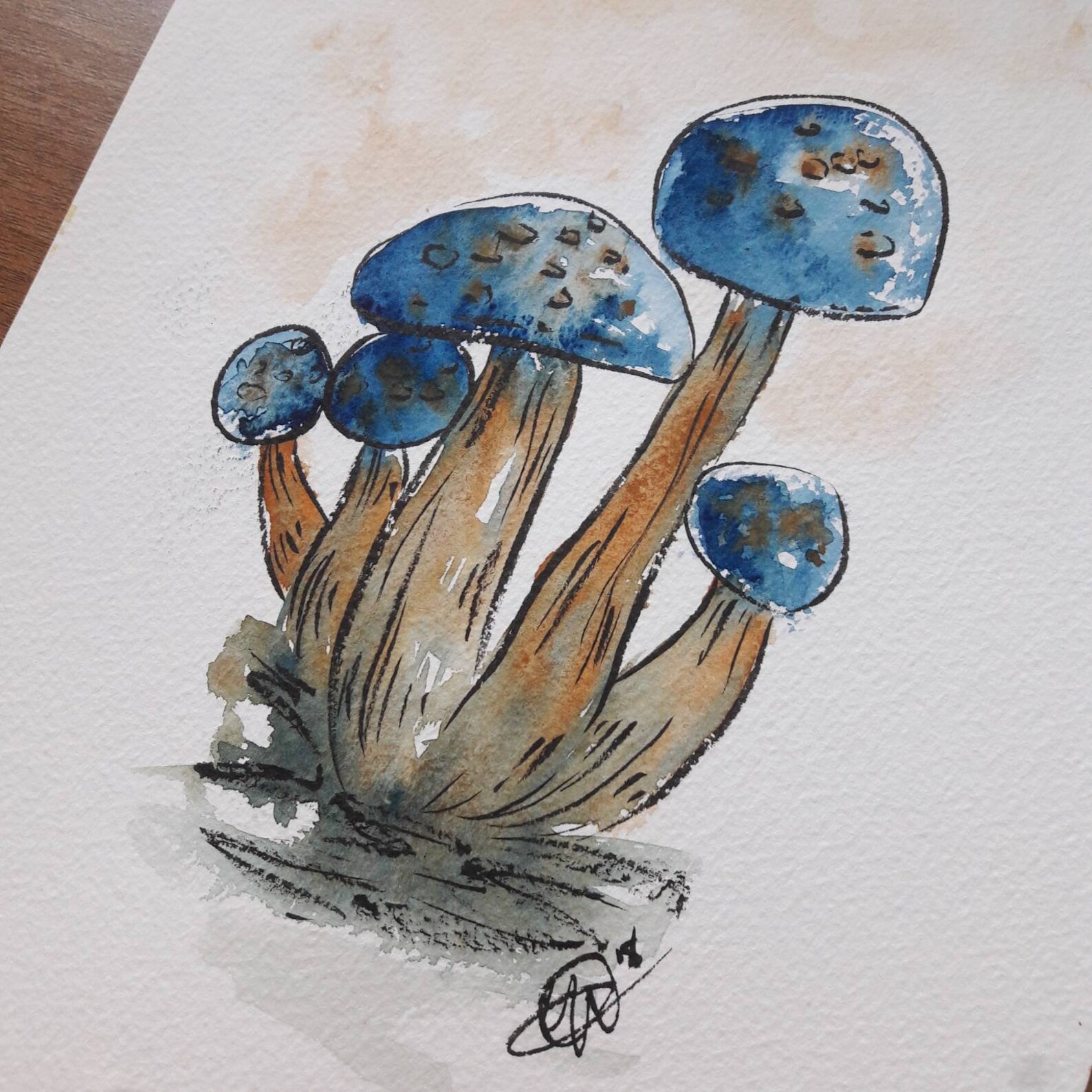 A4 watercolour mushroom painting wall art watercolour Etsy