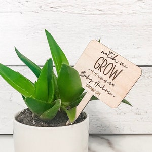 Watch Me Grow Succulent Tags | Baby Shower Succulent Favor Tags | Baby Shower Favors | Succulent Plant Tag Sticks | Watch Me Grow Favor Tags