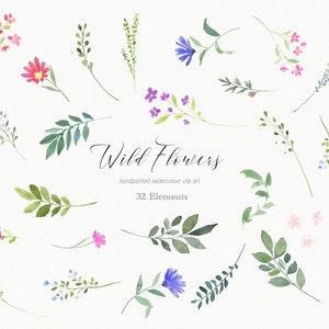 Wildblumen Aquarell ClipArt - Clip Art Elemente, Wilde Blume Einzelne Elemente, Blumen Grafiken, Floral Clipart PNG Dateien, DIY Einladungen