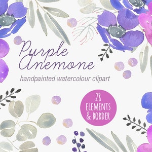 Hand-painted Watercolour Clip Art Elements Purple Anemones - Etsy UK