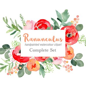 Floral Watercolour Clipart - Ranunculus Elements with red flower border, bouquets, high res png digital download