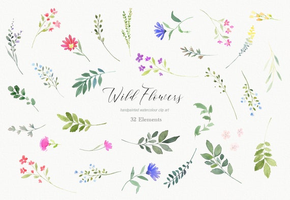 Wildflower Watercolor ClipArt - Clip Art Elements, Wild Flower Individual Elements, Flower Graphics, Floral Clipart PNG Files, DIY Invites