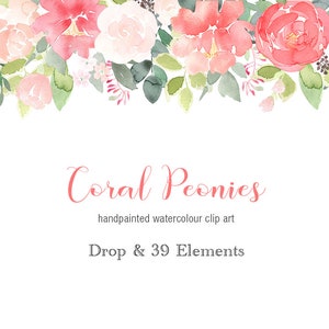 May include: Watercolor clip art featuring coral peonies and other flowers in a delicate arrangement. The text "Coral Peonies" and "handpainted watercolour clip art" is displayed below the flowers. The text "Drop & 39 Elements" is displayed below the text.