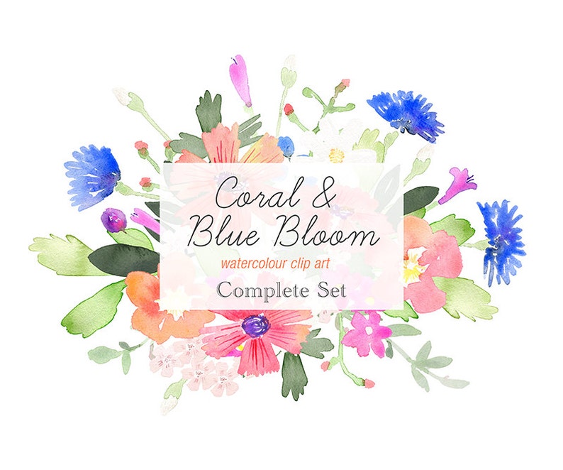 Spring Floral Watercolor Clipart Coral and Blue Flower | Etsy