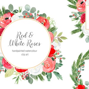Christmas Watercolor Clipart Frames - Red and White Roses festive clipart, Christmas Rose Clipart, Festive Roses Frames, Christmas Frames