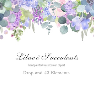 Imágenes prediseñadas de flores de acuarela - Elementos y Floral Drop Clip Art con flores lilas, suculentas, rosas rosas y hojas de eucalipto