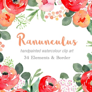 Watercolour Handpainted Clip Art - Ranunculus Elements, Flower Border Clipart, Red Floral Border, Wedding Graphics, Bright Red Clip Art