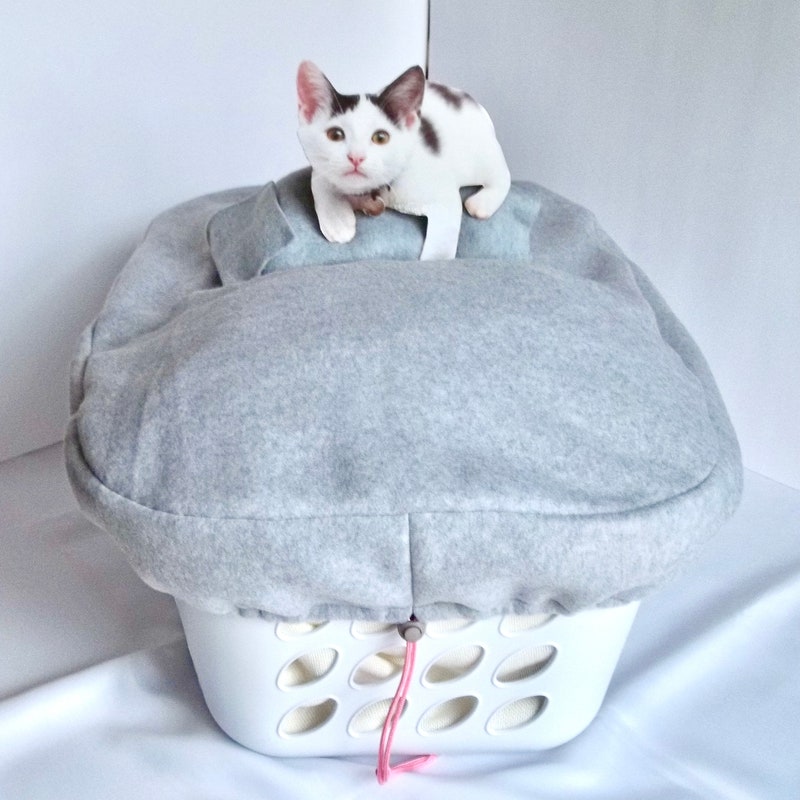 Cat Accessory Cat Accessories - Etsy