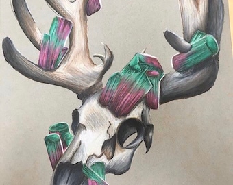 Watermelon Tourmaline Deer Skull