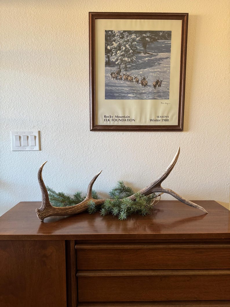 May include: A wooden dresser with three drawers, a pair of antlers, and a framed print of elk in a snowy forest. The print has the text "Rocky Mountain Elk Foundation" and "Seasons Winter 1988".
