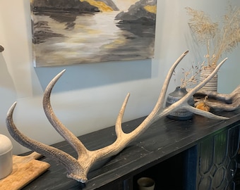 HUGE Arizona Elk Antler