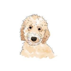 Custom Pet Portrait, Dog Drawing, Custom Pet Drawing, Dog Portrait