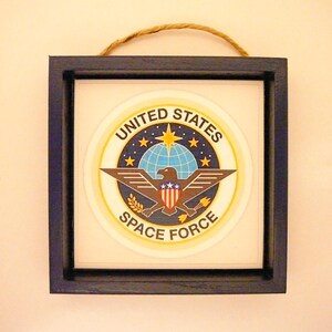 May include: A framed print of the United States Space Force emblem. The emblem features a blue globe with stars, a bald eagle with a shield, and the words "United States Space Force".