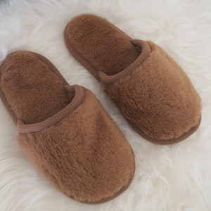 May include: A pair of brown fluffy slippers. The slippers are made of a soft, plush material and have a closed toe.