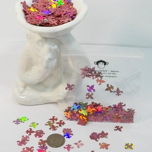Fleur De Lis Confetti - Beautiful Roses & Rainbows Holographic Color! Résistant aux solvants - Taille 10 mm! B-299 (en)