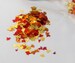 Autumn Leaves! Glitter Shapes/Confetti in Autumn Colored Leaves! Size 6 mm! Perfect Embellishments! B-250 