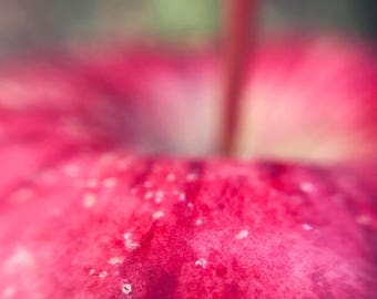 Red Apple Photo, Farmhouse Wall Decor, Organic Food Photography, Rustic Kitchen Decor, Digital Download, Outdoorsy Gift, Housewarming gift