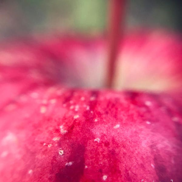 Red Apple Photo, Farmhouse Wall Decor, Organic Food Photography, Rustic Kitchen Decor, Digital Download, Outdoorsy Gift, Housewarming gift