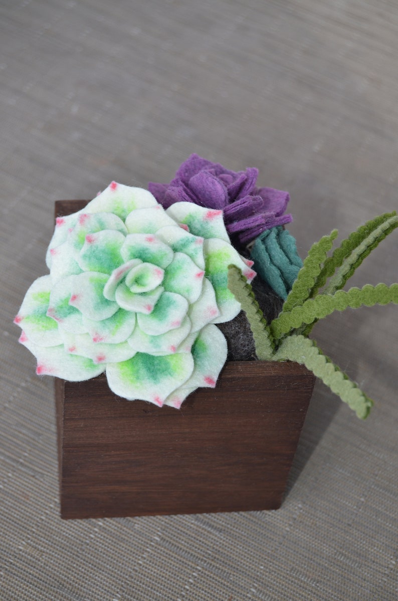Wool Felt Succulent Planter Box Etsy