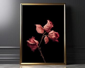 Pink Wild Rose on Black Background Wall Print | Moody Black & Pink Statement Wall Art