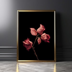 Rosa salvaje rosa sobre fondo negro Impresión de pared / Moody Black & Pink Statement Wall Art