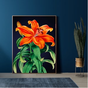 Vibrant Orange Tropical Flower on Dark Navy Background Print Bold Large Maximalist Botanical Wall Poster image 3