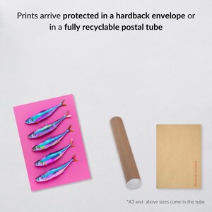 May include: A pink card with five iridescent fish illustrations, a brown postal tube, and a brown envelope. Text at the top reads, "Prints arrive protected in a hardback envelope or in a fully recyclable postal tube." The text at the bottom reads, "*A3 and above sizes come in the tube."