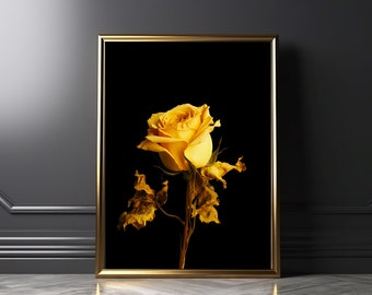 Yellow Wild Rose on Black Background - Moody & Dramatic Statement Wall Art