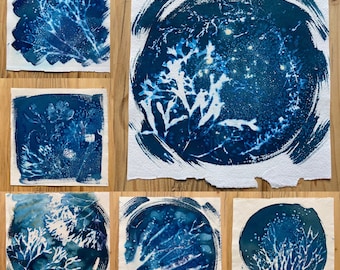 Cyanotype (sun print) photogram of seaweed washed up on the Pembrokeshire coast, handmade unique print, ocean lovers, beachy, plastic-free