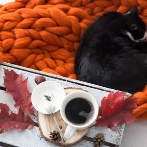 May include: A black and white cat curled up on a chunky orange knit blanket. A white mug of coffee sits on a wooden tray with red fall leaves and pine cones.