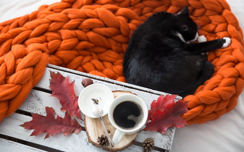 May include: A black and white cat curled up on a chunky orange knit blanket. A white mug of coffee sits on a wooden tray with red fall leaves and pine cones.