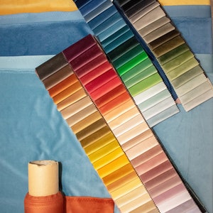 May include: A fabric swatch book with a variety of colors, including blue, green, red, yellow, and brown. The swatches are arranged in rows and columns, and there is a roll of fabric in the lower left corner of the image.
