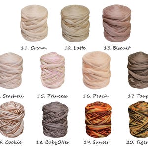 May include: A collection of 10 yarn skeins in various colors, including cream, latte, biscuit, seashell, princess, peach, taupe, cookie, baby otter, sunset, and tiger eye. The yarn is arranged in rows of three, with the numbers 11-20 and the corresponding color names written below each skein.