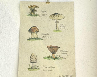 Print 'Mushrooms' Grass Paper Poster Poster Art Print