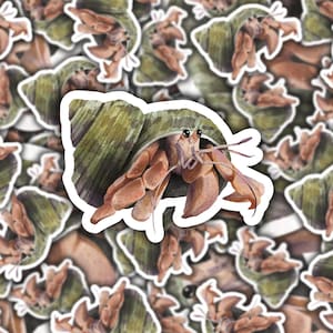 Hermit Crab in Green Shell Sticker, Crab Decal, Waterproof Vinyl Sticker for Hydroflask || 458