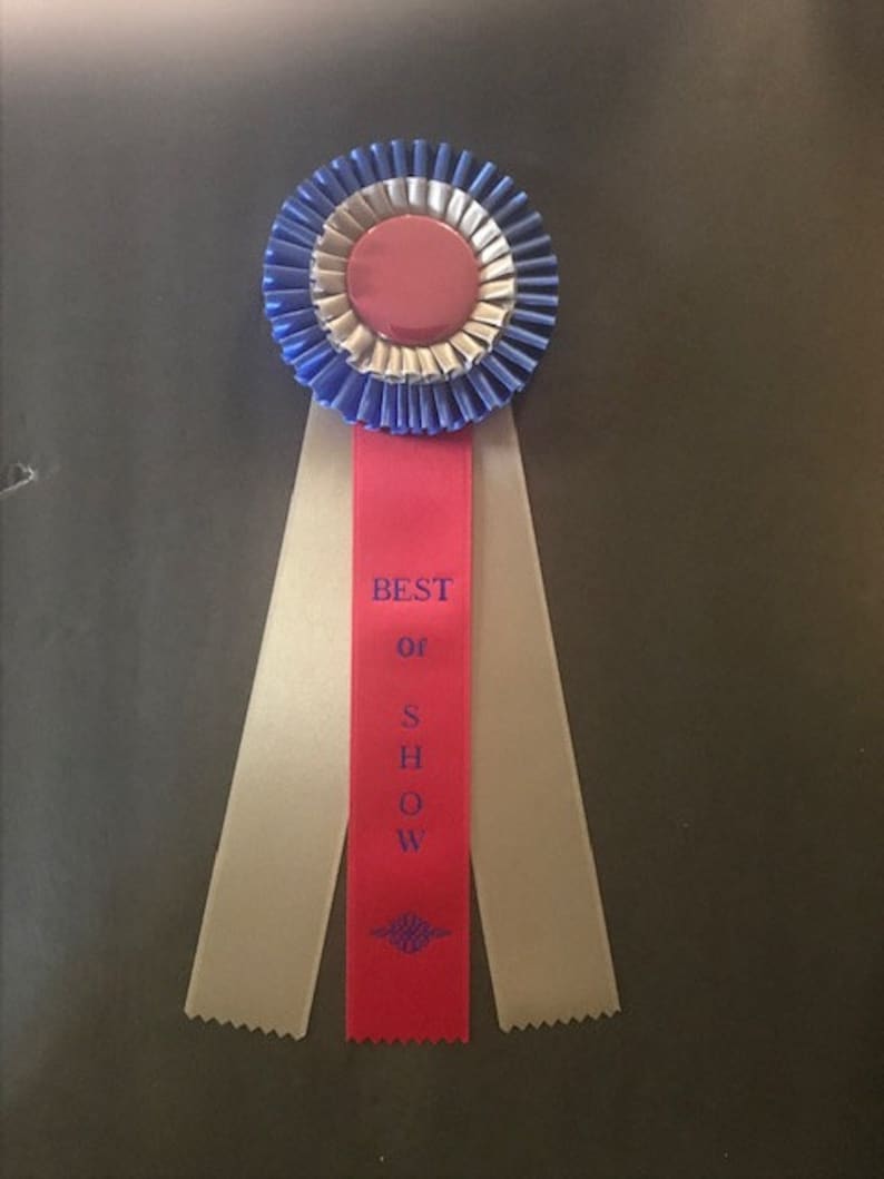 Best of Show Ribbon - Etsy