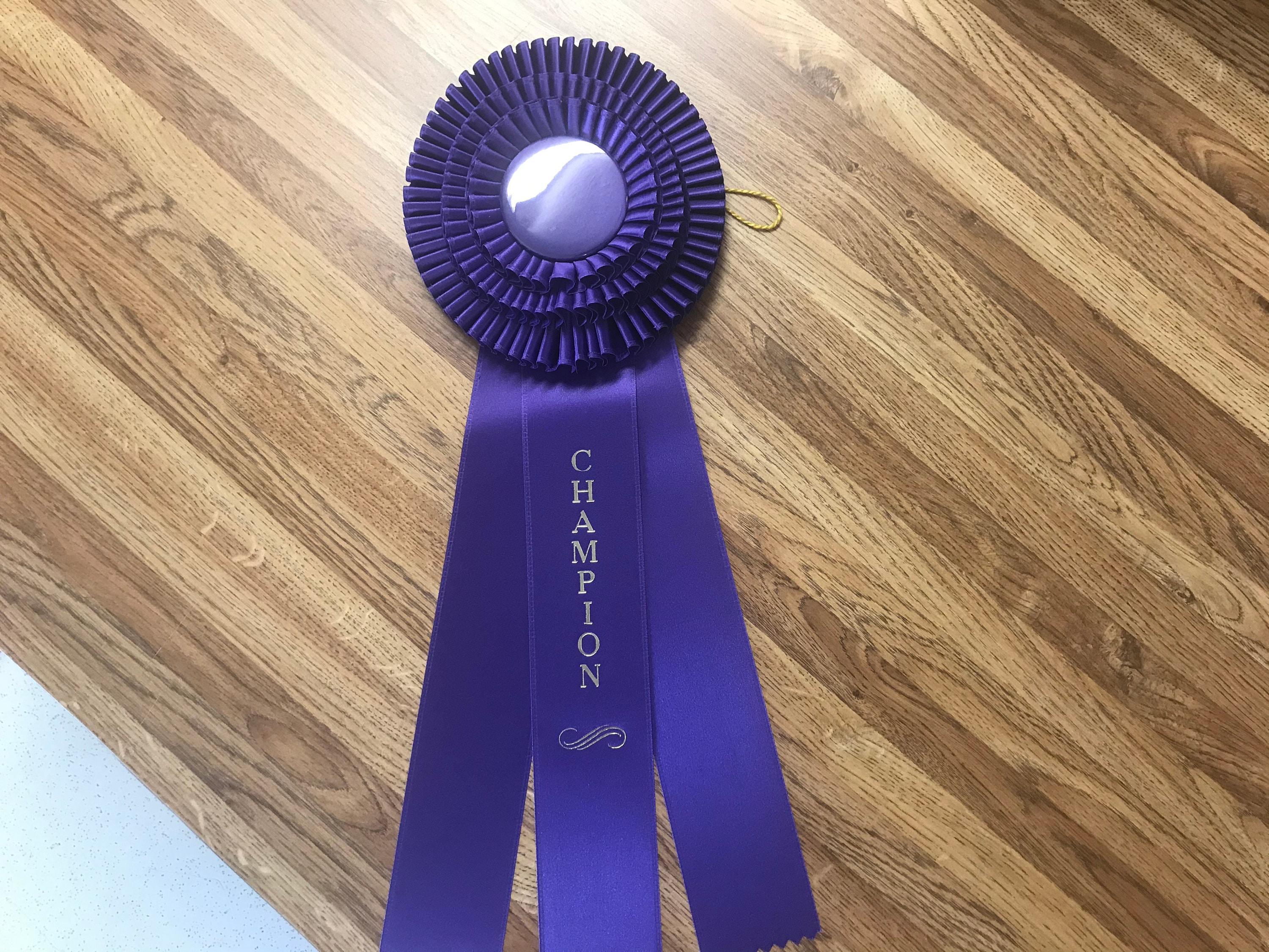 Champion Award Ribbon - Etsy