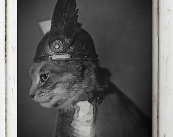 Vintage Cat Photo, Anthropomorphic Cat Photo, Black and White Photography, Viking Cat, Vintage Wall Decor, Feline Art