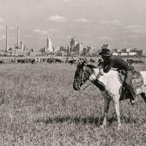 Dallas Texas Skyline, Art Print, Black and White, Cowboy & Horse Photo, Dallas Texas, Old Texas Photo, 1943, Photo Art Print, Photography
