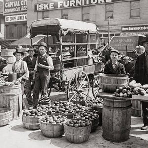 May include: Black and white photo of a street market scene with vendors selling fruits and vegetables from wooden barrels and baskets.  A horse-drawn wagon is visible in the background.  The signage in the background includes 