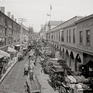 Old Baltimore Photo, Light Street looking North. Maryland Photos, Baltimore Artwork, Black and White Photography, 1906 画像 1