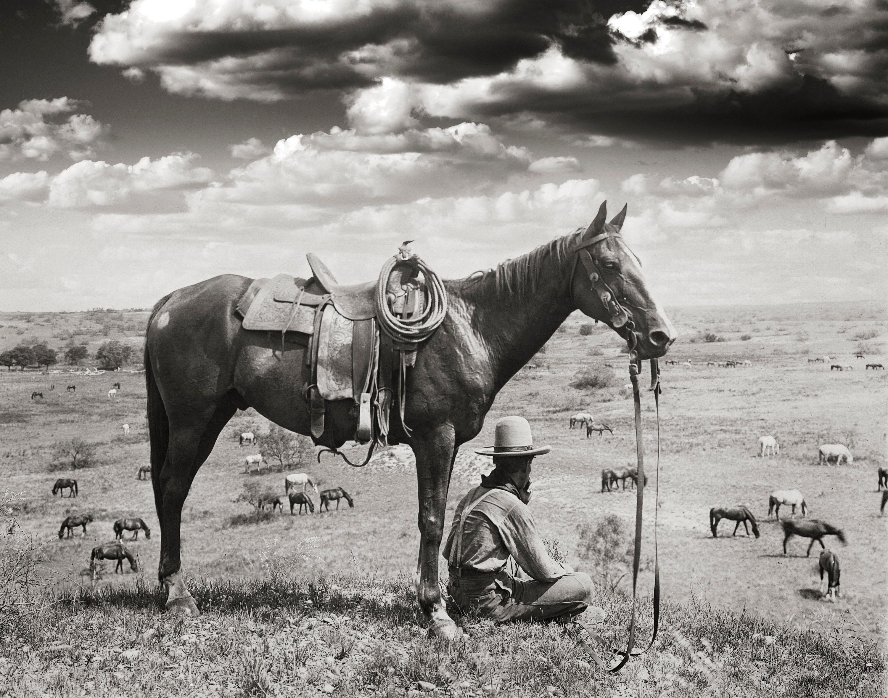 Texas Cowboy Photo Horse Wrangler Farmhouse Modern Wall Art - Etsy