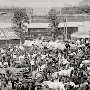 Market Square, Cleburne, Texas, Photo, Circa 1890-1900