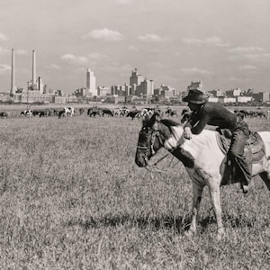 Dallas Texas Skyline, Art Print, Black and White, Cowboy & Horse Photo, Dallas Texas, Old Texas Photo, 1943, Photo Art Print, Texas Gift