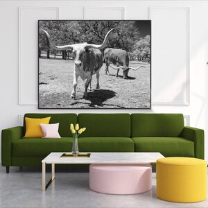 Longhorn Steer Photograph: Texas Black and White Farmhouse Art image 2