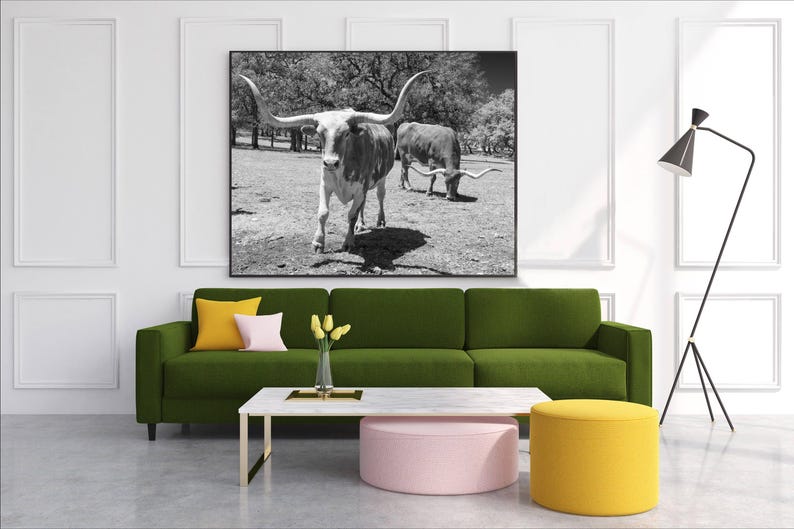 Longhorn Steer Photograph: Texas Black and White Farmhouse Art image 2