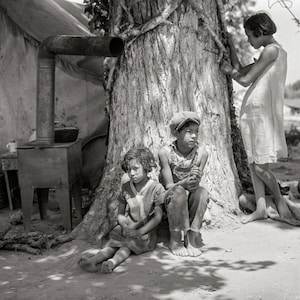 Dorthea Lange Photo, &quot;Motherless Migrant Children&quot;, California, 1935, Working in Cotton
