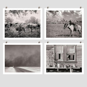 Texas Country Photo Collection, Texas Panhandle, Dallas Skyline, Longhorn Steer, Farmhouse